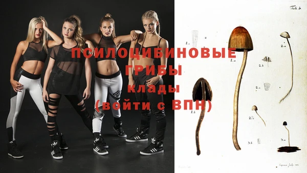 круглые Аркадак