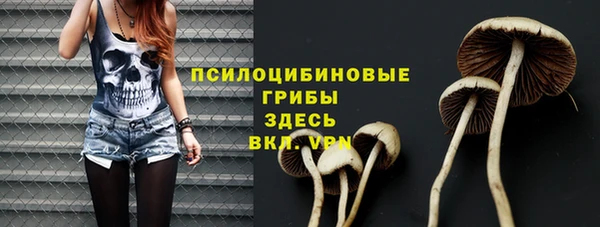 не бодяженный Армянск