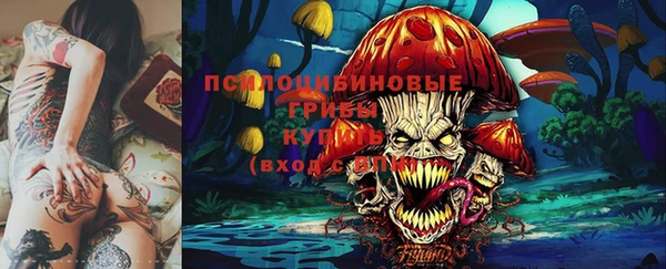 круглые Аркадак