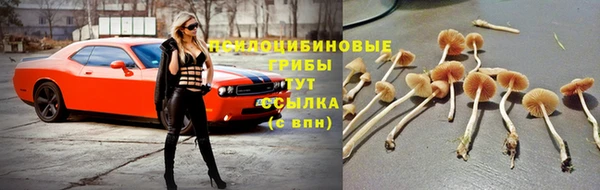 не бодяженный Армянск