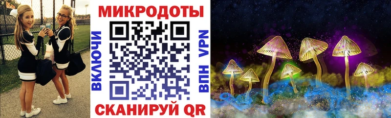 Псилоцибиновые грибы Cubensis  Купить закладки  Спасск-Рязанский 